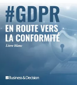 Vignette Livre Blanc GDPR