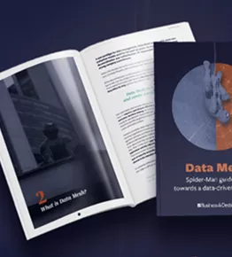 Thumbnail Data Mesh Whitepaper.png