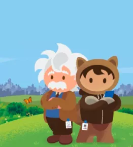 salesforce world tour © 