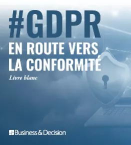 Vignette Livre Blanc GDPR