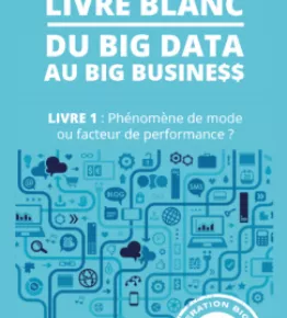 Vignette Livre Blanc Big Data