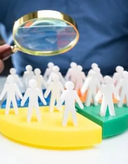 segmentation